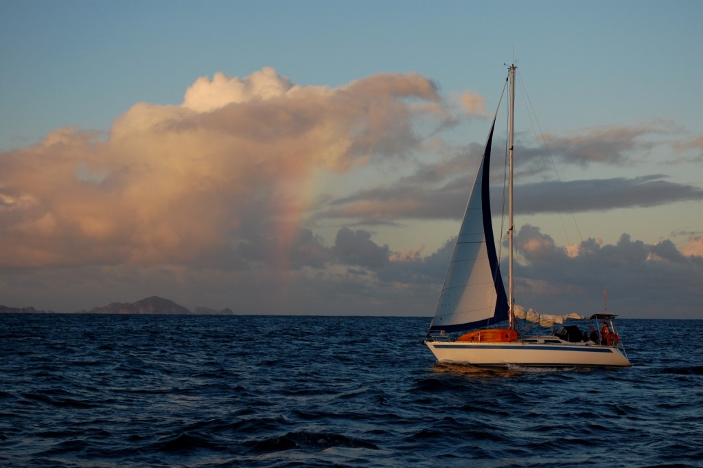 Magic Roundabout sails up the coast of Northland to Opua - OceansWatch Project Lead Boats Head for the Islands © David Tee